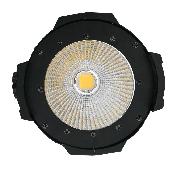 LED PAR COB 100W
